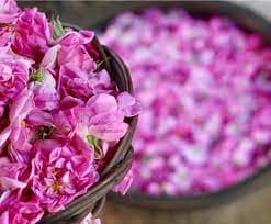 تصویر 3 از گلاب ارگانیک شیشه ای مرغوب